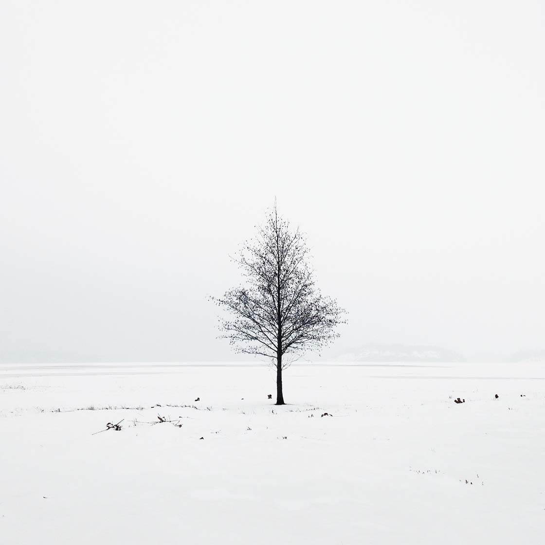 10 Tips For Taking Stunning Minimalist Iphone Photos