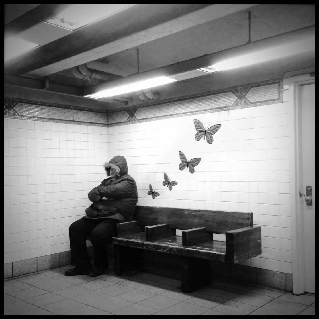 Sheldon Serkin iPhone Photos 24