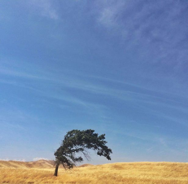 30 Incredible iPhone Photos With Minimalist Composition