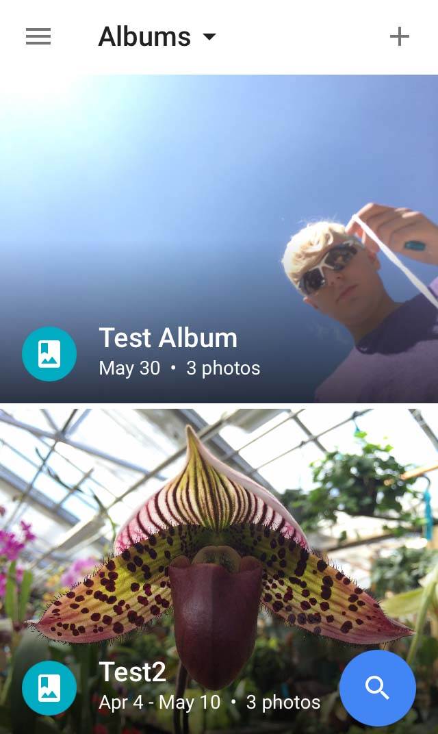 Google Photos App iPhone 2 no script