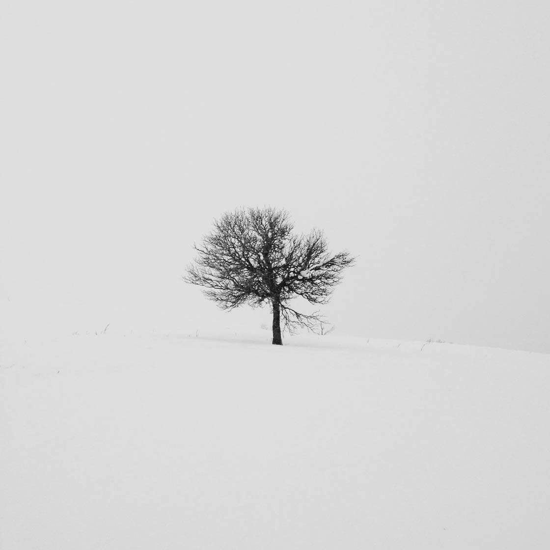 How Kristine Norlander Takes Great Minimalist iPhone Photos