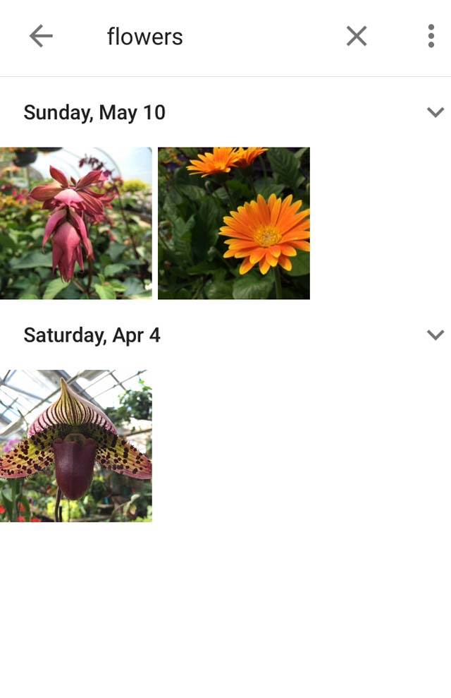 Google Photos App iPhone 5 no script