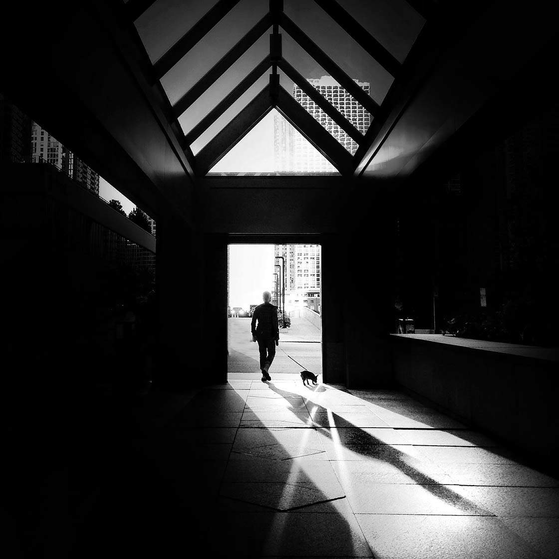 How To Create Incredible Black & White iPhone Photos