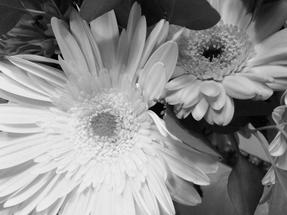 8 Apps For Creating Stunning Black & White Photos On iPhone