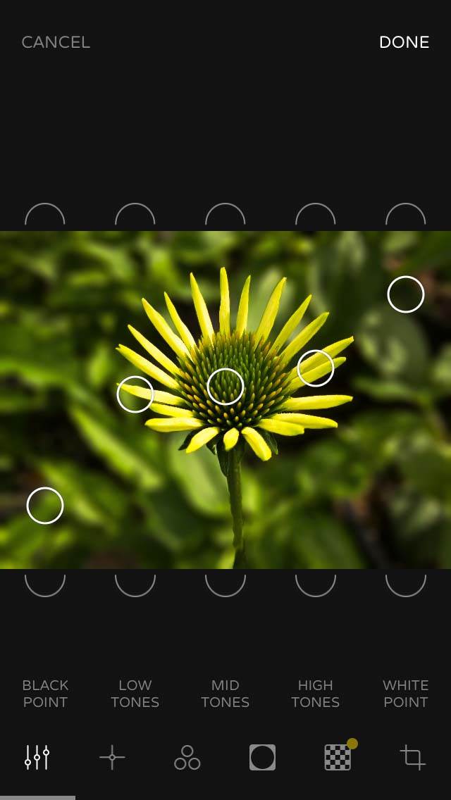 Ultralight iPhone Photo Editing App 9 no script