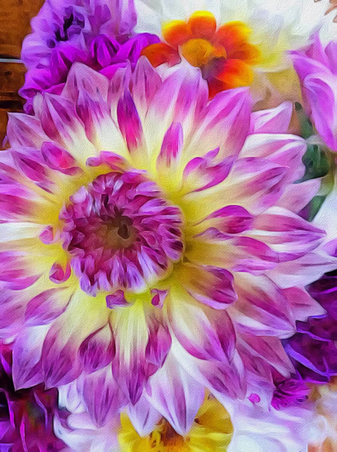 Flower iPhone Photo Editing 14