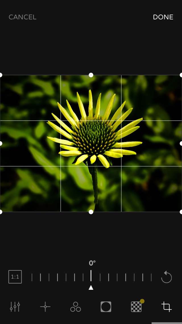 Ultralight iPhone Photo Editing App 16 no script