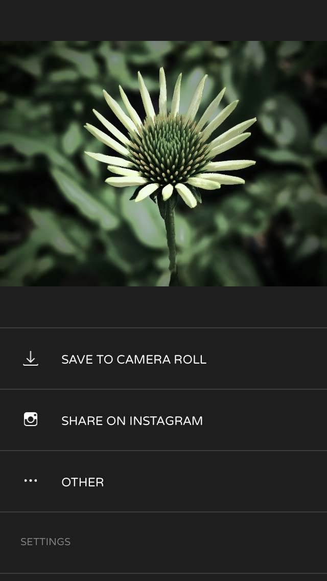 Ultralight iPhone Photo Editing App 17 no script