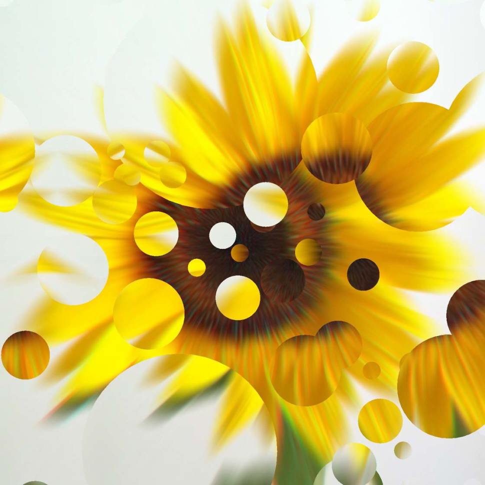 5 Ways To Enhance Your Flower Photos With iPhone Editing Apps