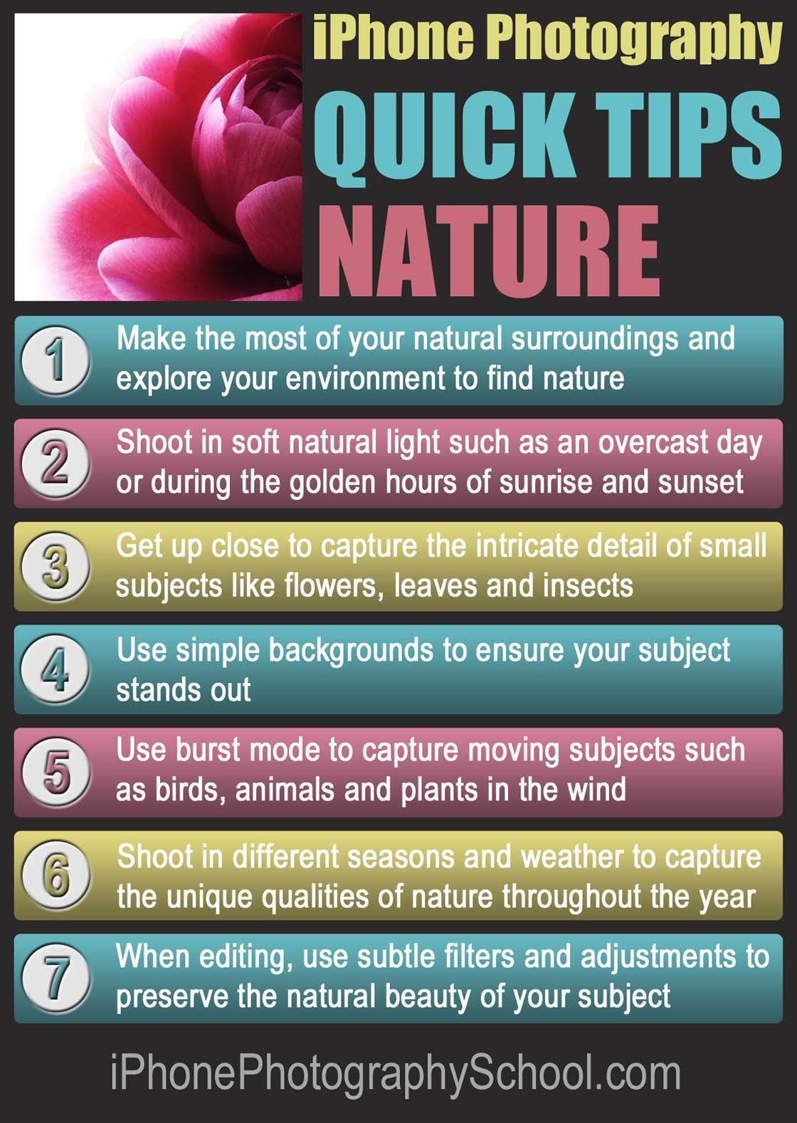 iPhone Nature Quick Tips no script