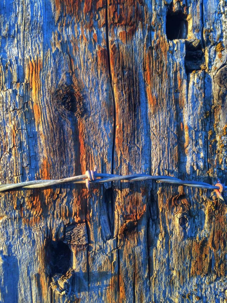 30 Incredible iPhone Photos Of Texture You Can Almost Feel