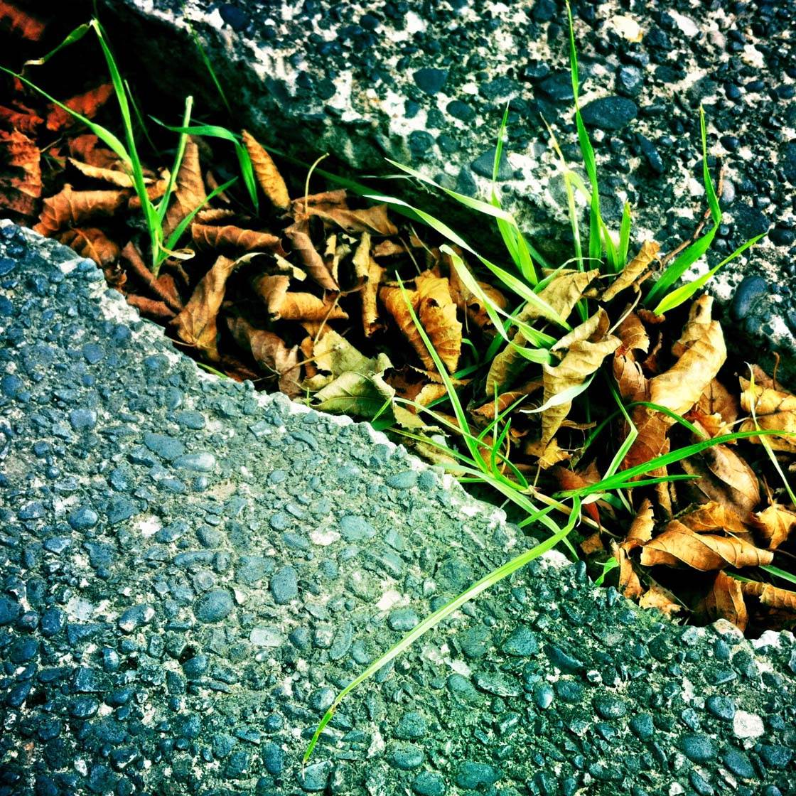 iPhone Photos Texture 11 no script