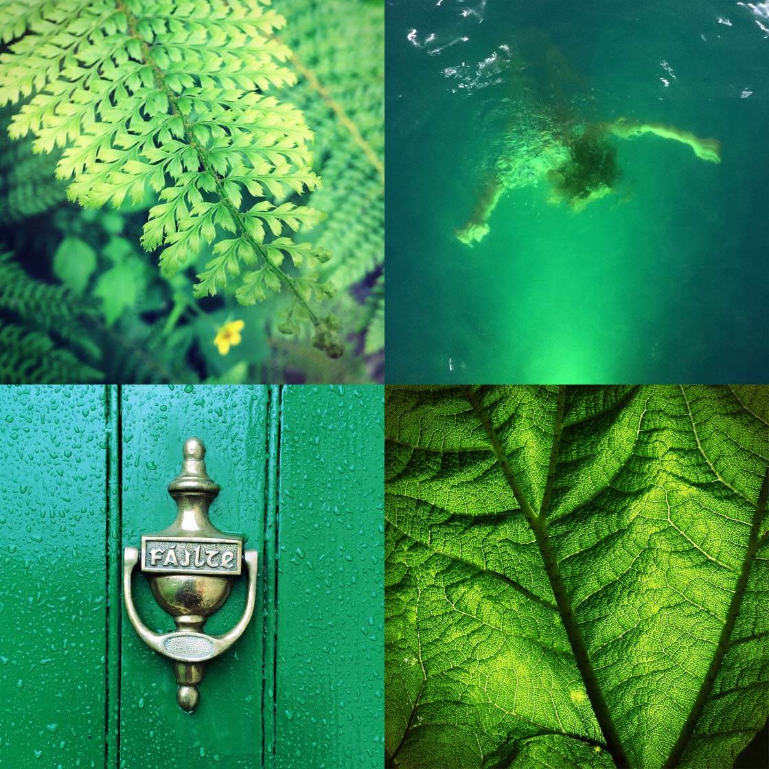 Green iPhone Photos Collage no script