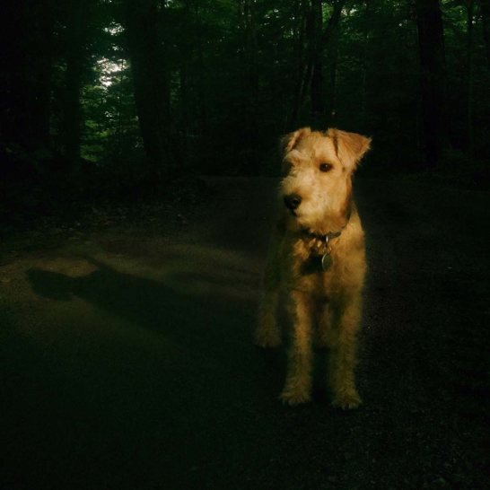 30 Incredible Night & Low Light iPhone Photos