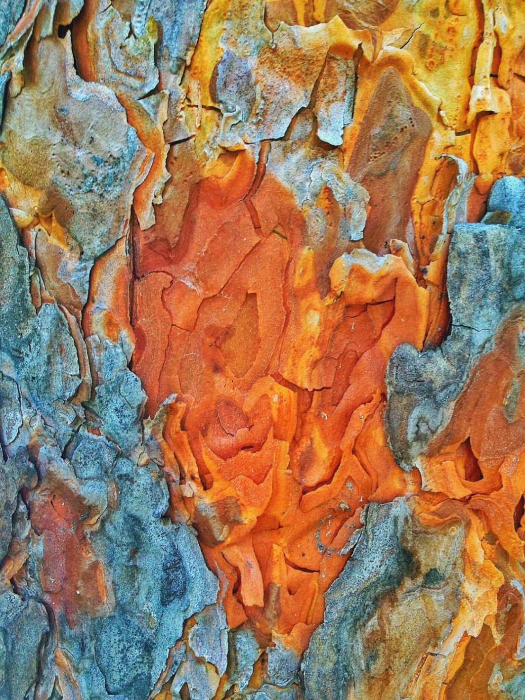 30 Stunning Abstract Images Shot With An iPhone