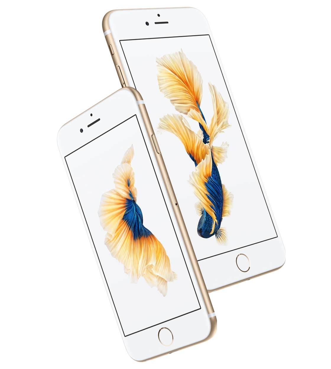 apple iphone 6 features and price