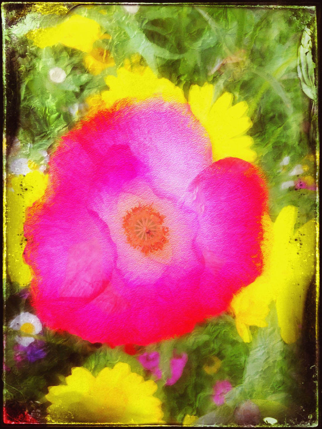 iPhone Photo Painterly 23