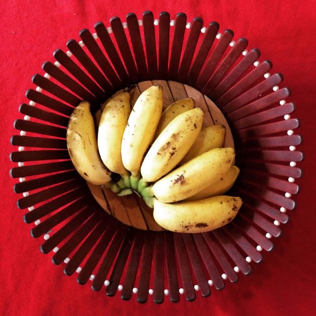 30 iPhone Photos That Make Incredible Use Of Color