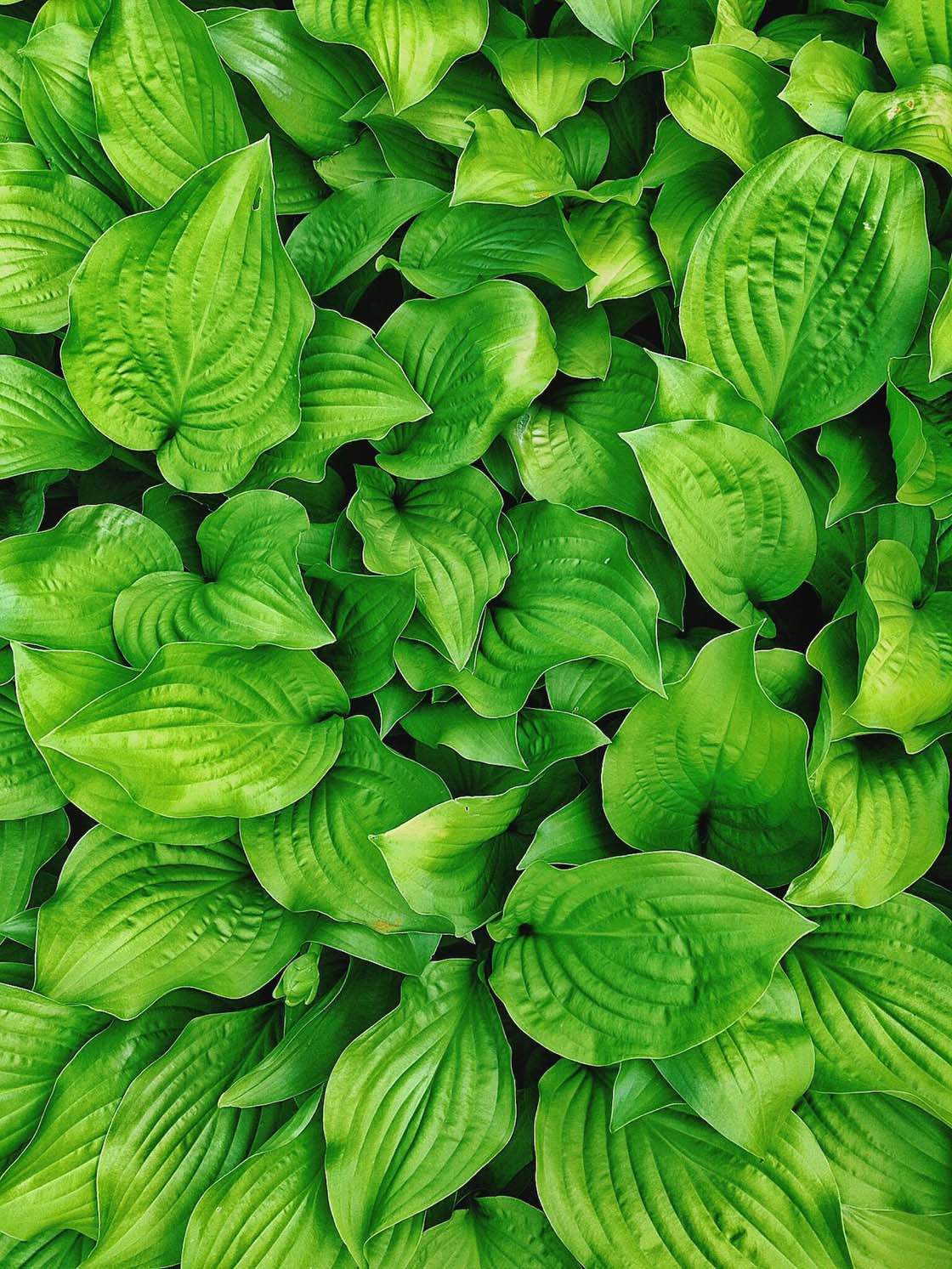 30 iPhone Photos That Make Incredible Use Of Color