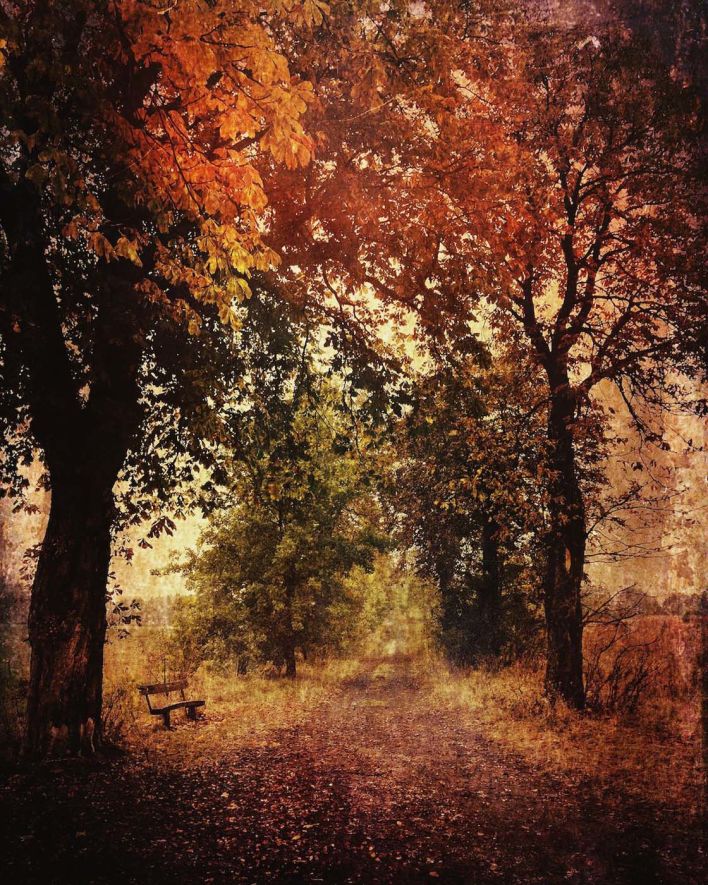 30 Great iPhone Photos That Capture The Beauty Of Fall