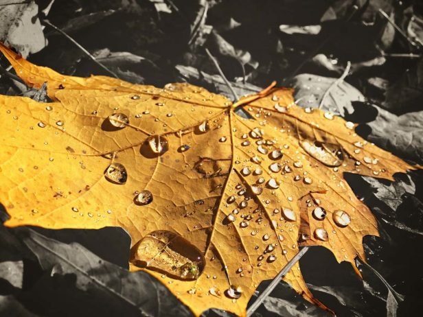30 Great iPhone Photos That Capture The Beauty Of Fall