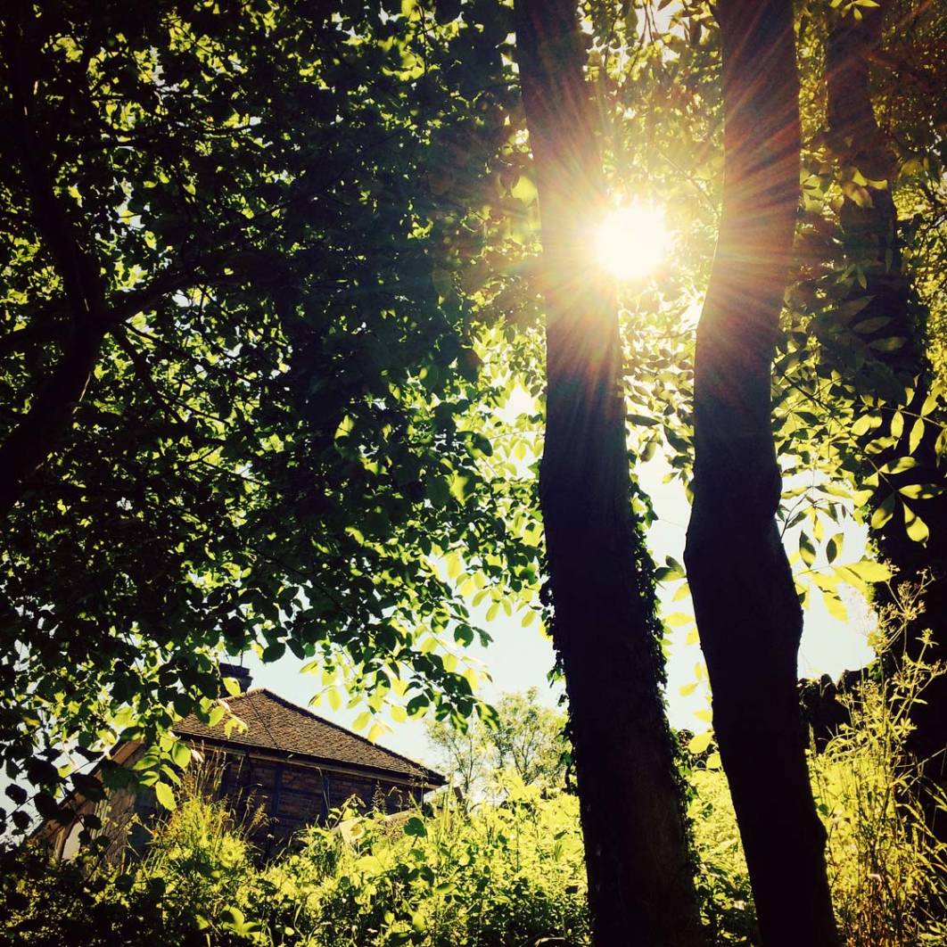 How To Create Stunning Lens Flare In Your iPhone Photos