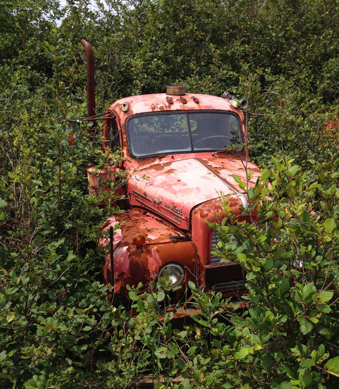 Fotos de iPhone Coches y vehículos 23