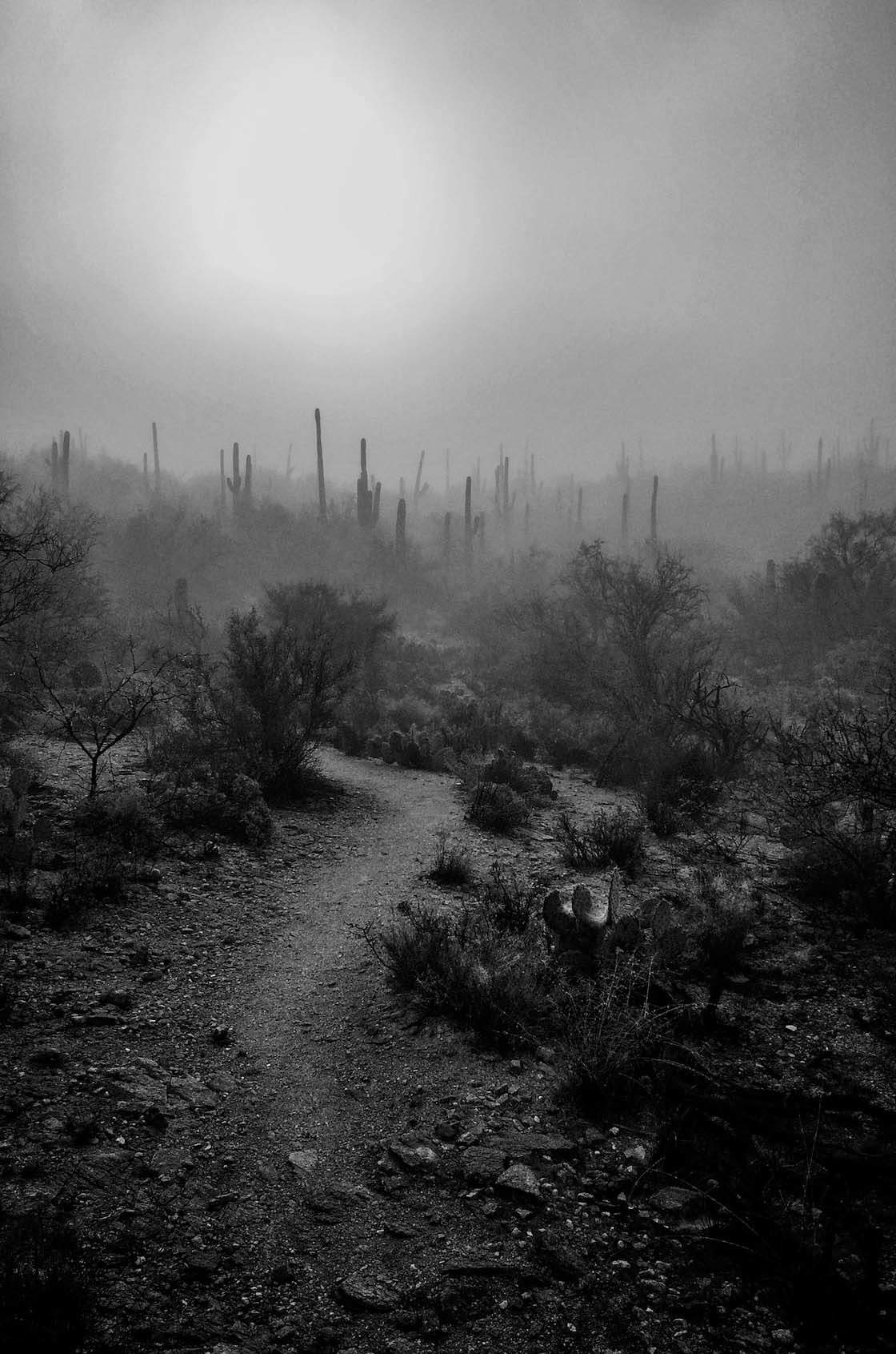 30 Breathtaking iPhone Photos Of Weather