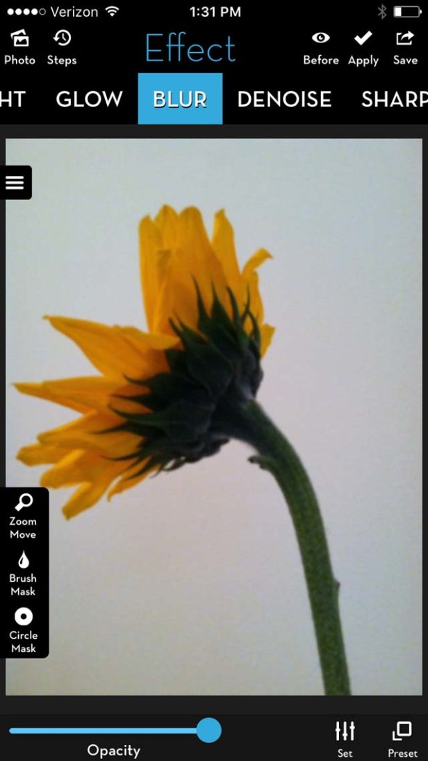 How To Create A Unique Flower Portrait iPhone Photo