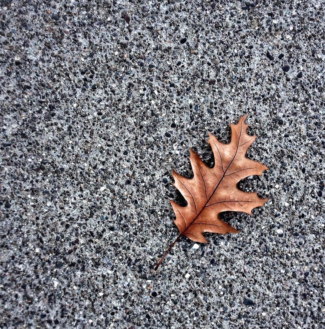 Minimalist iPhone Photography 2