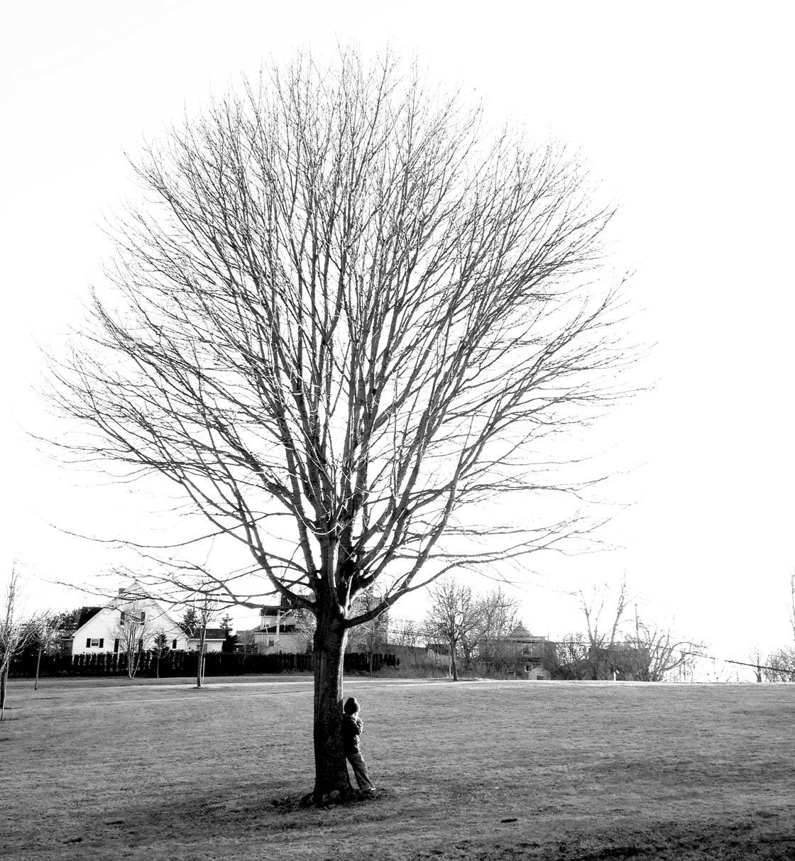 Winter Tree iPhone Photos 17