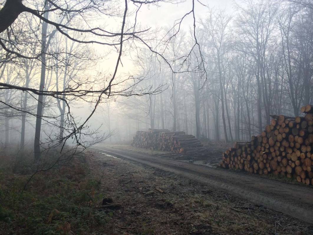 11 iPhone Photography Tips For Shooting Moody Landscapes