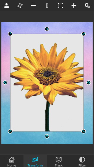 How To Add Textures To Enhance Your iPhone Photos
