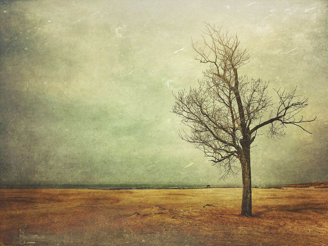 30 Breathtaking iPhone Landscape Photos