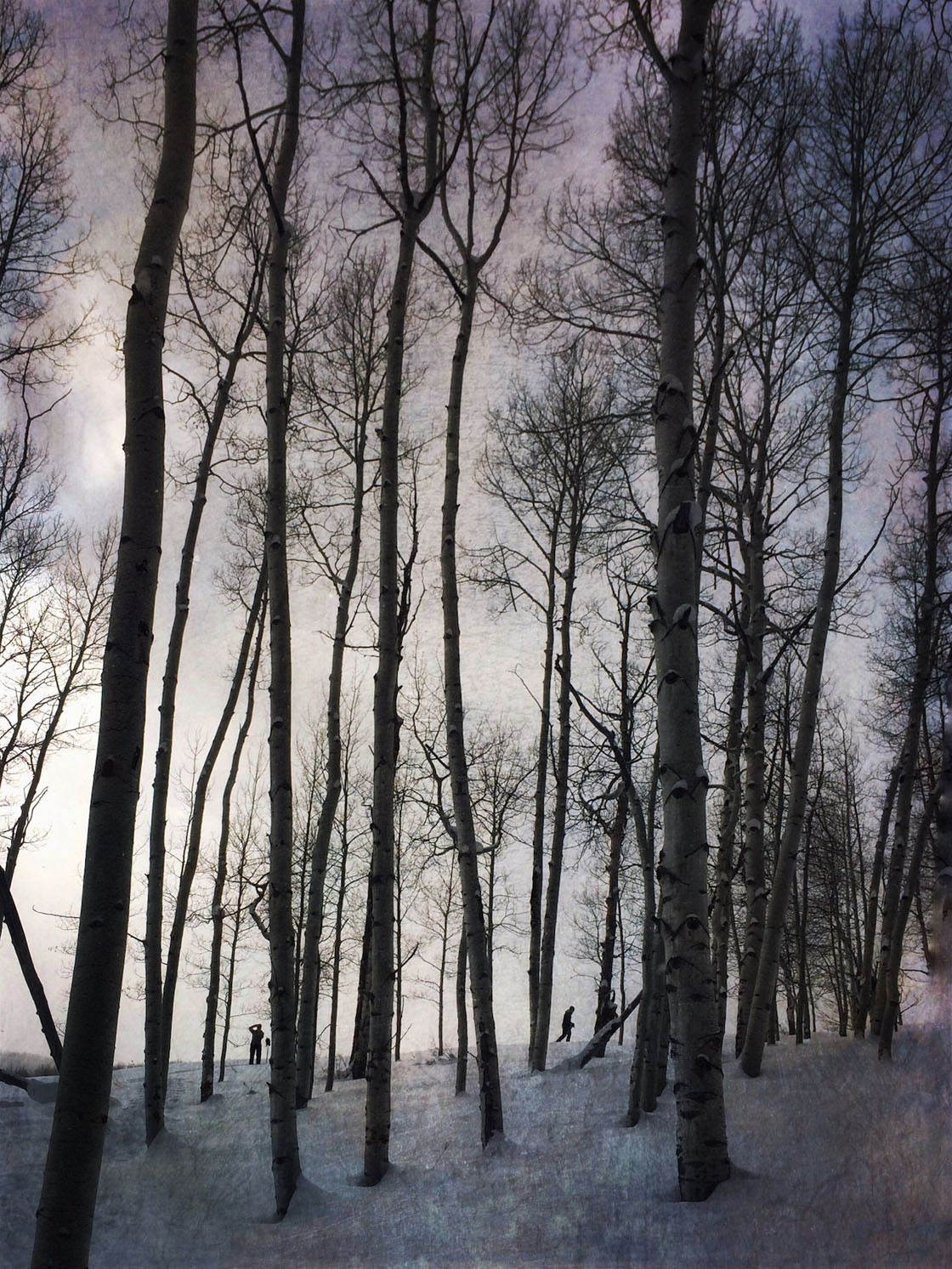 Winter iPhone Photos 2016 12