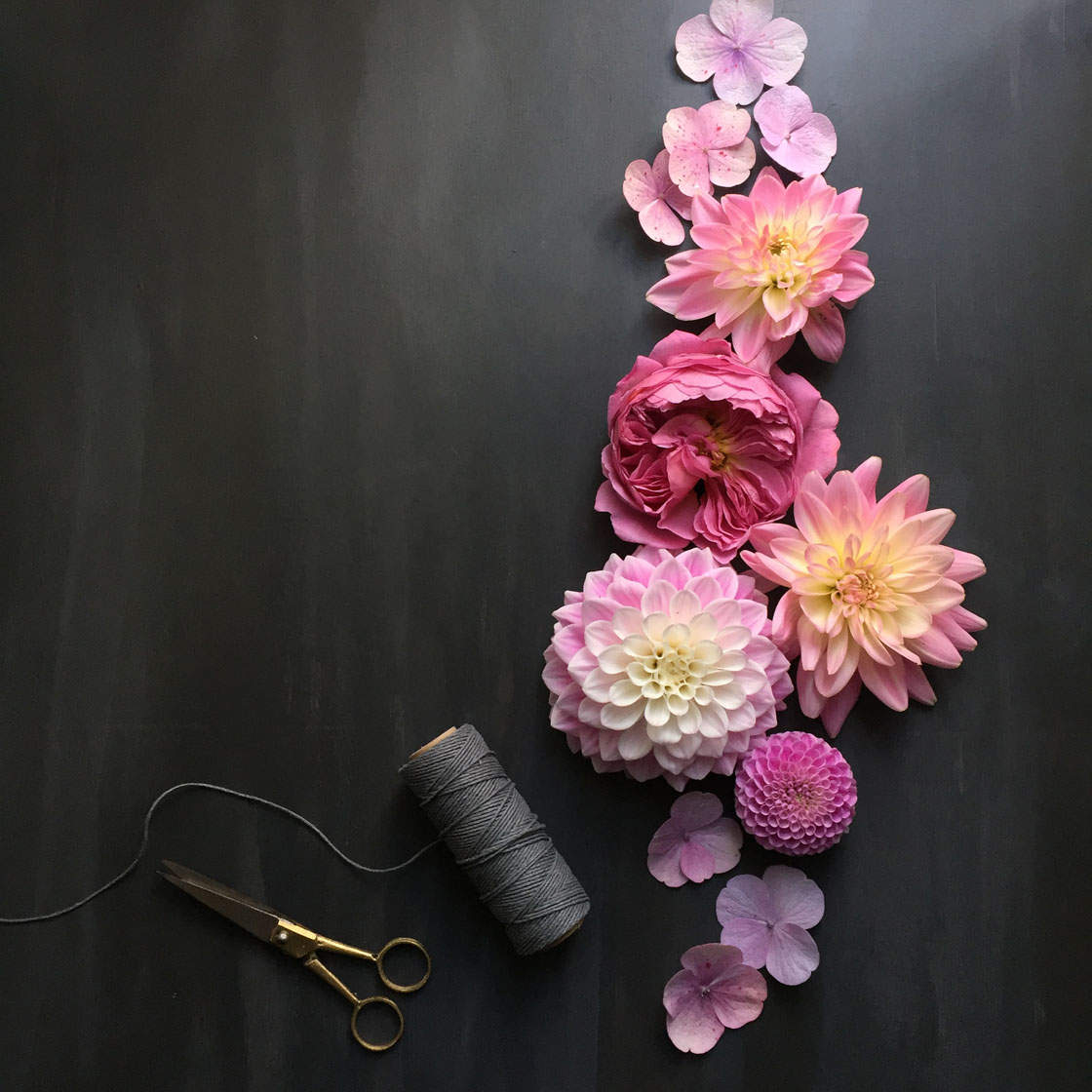 8 Still Life iPhone Photographers To Follow On Instagram