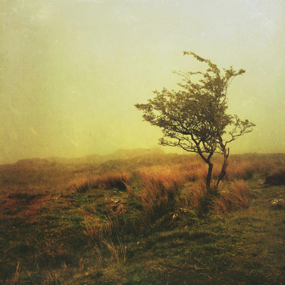 11 Instagram Tips For Beginner iPhone Photographers