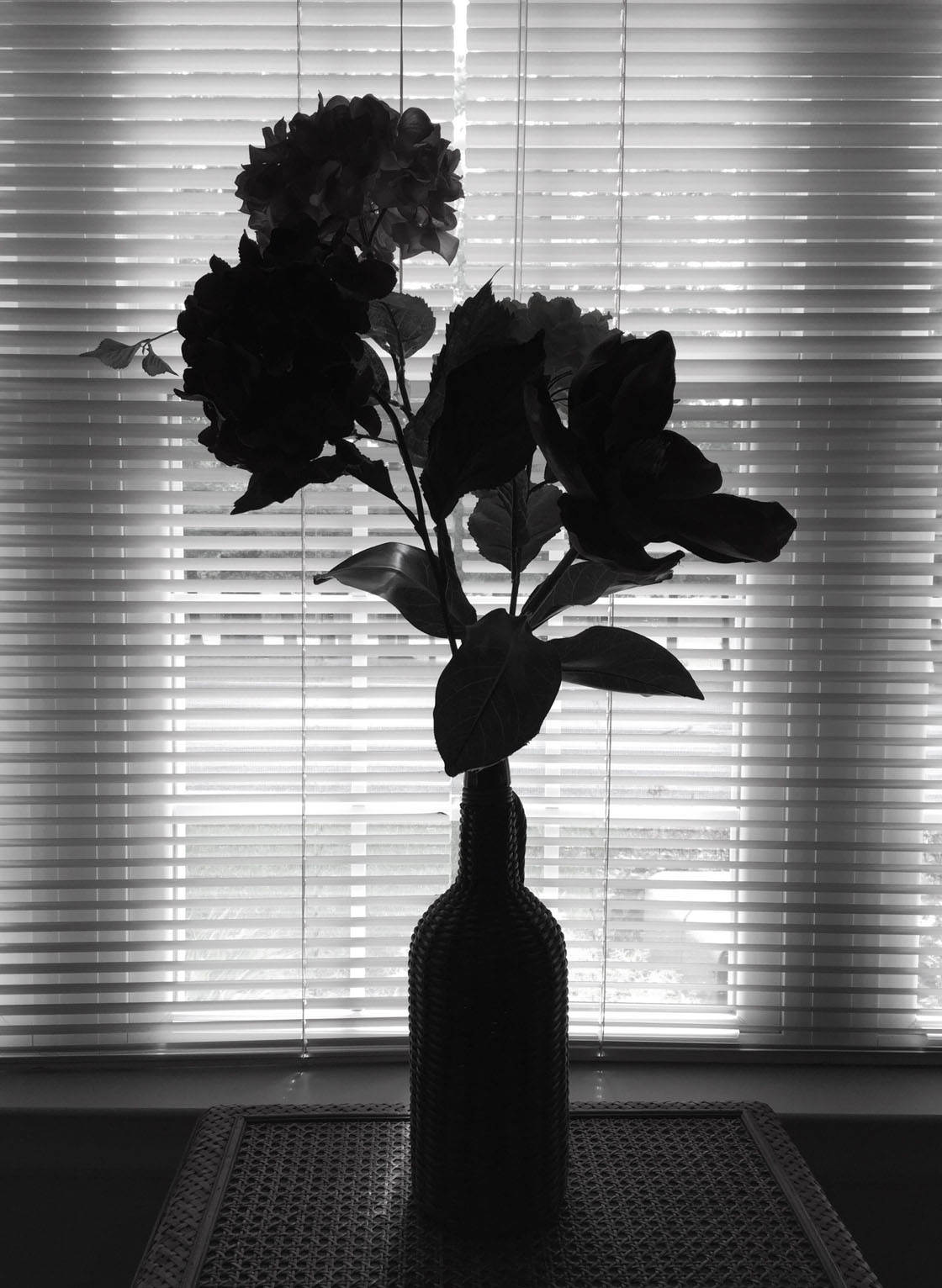 Silhouette iPhone Photos 13 no script