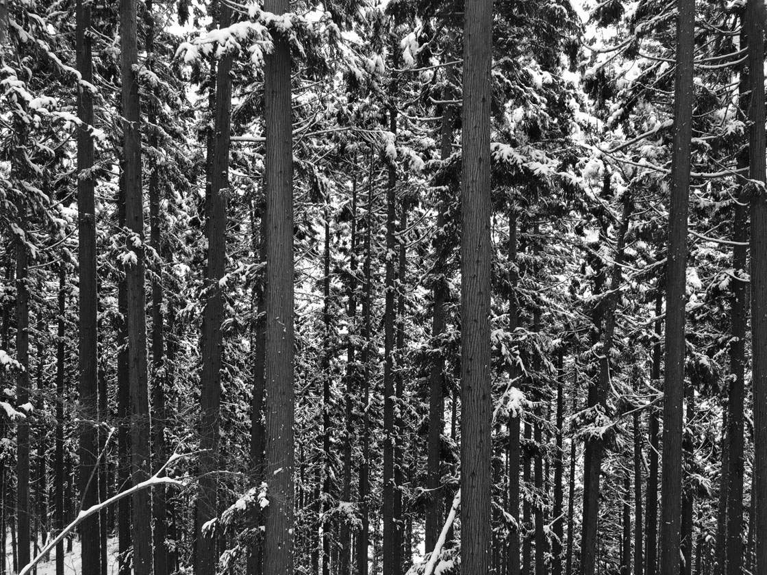 3 Black & White Editing Techniques For Stunning iPhone Photos