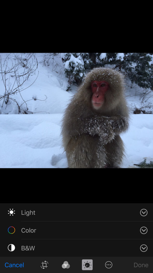 3 Black & White Editing Techniques For Stunning iPhone Photos