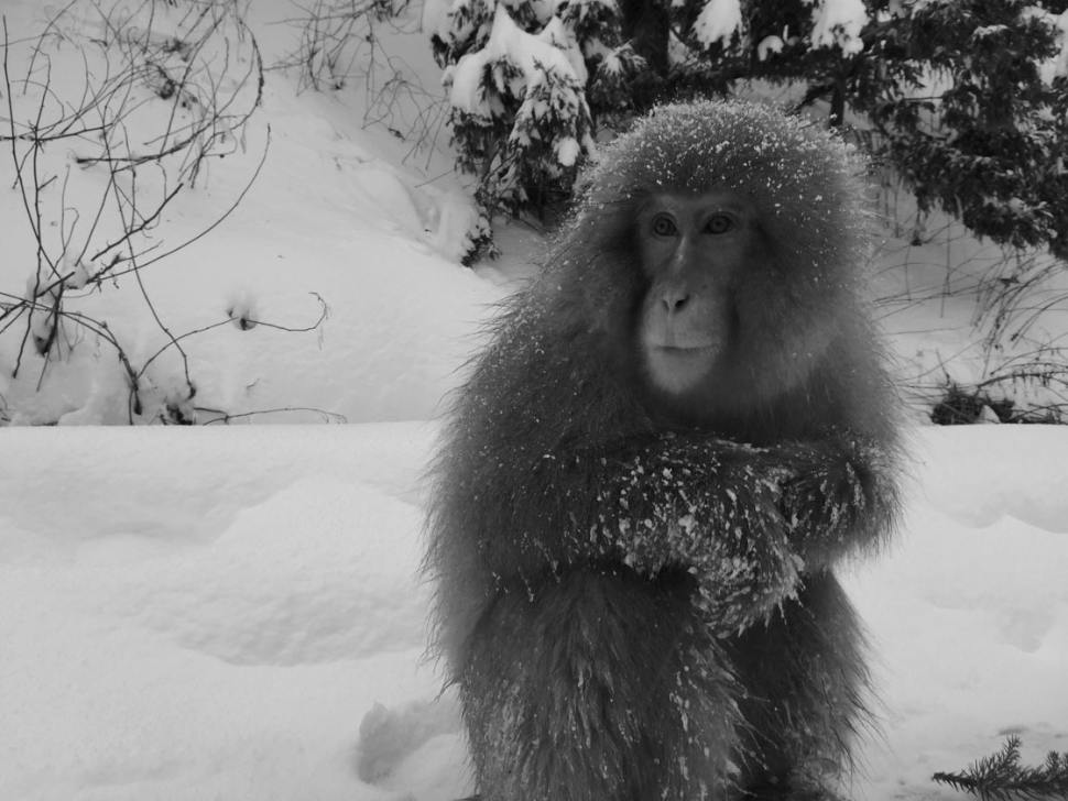 3 Black & White Editing Techniques For Stunning iPhone Photos