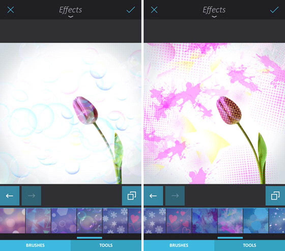 Photo Editor Apps31 no script