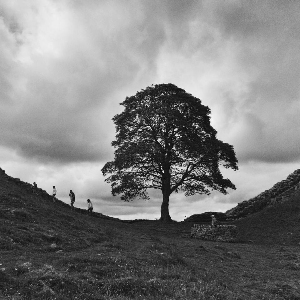 How To Use The Vignette Tool To Create Dramatic Iphone Photos 