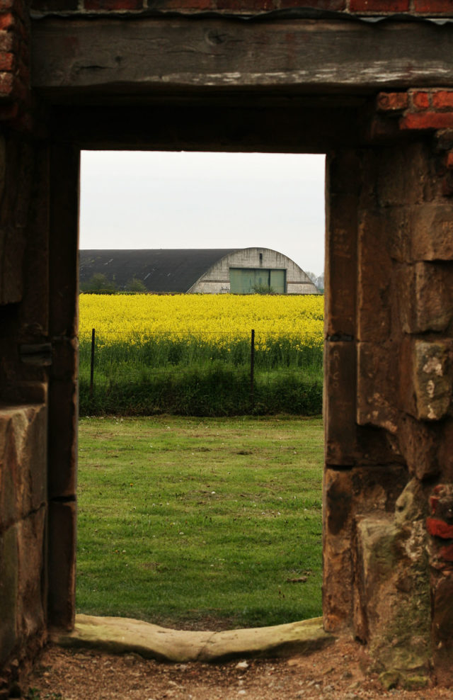 7 Tips For Using Framing Composition Techniques In Your iPhone Photos