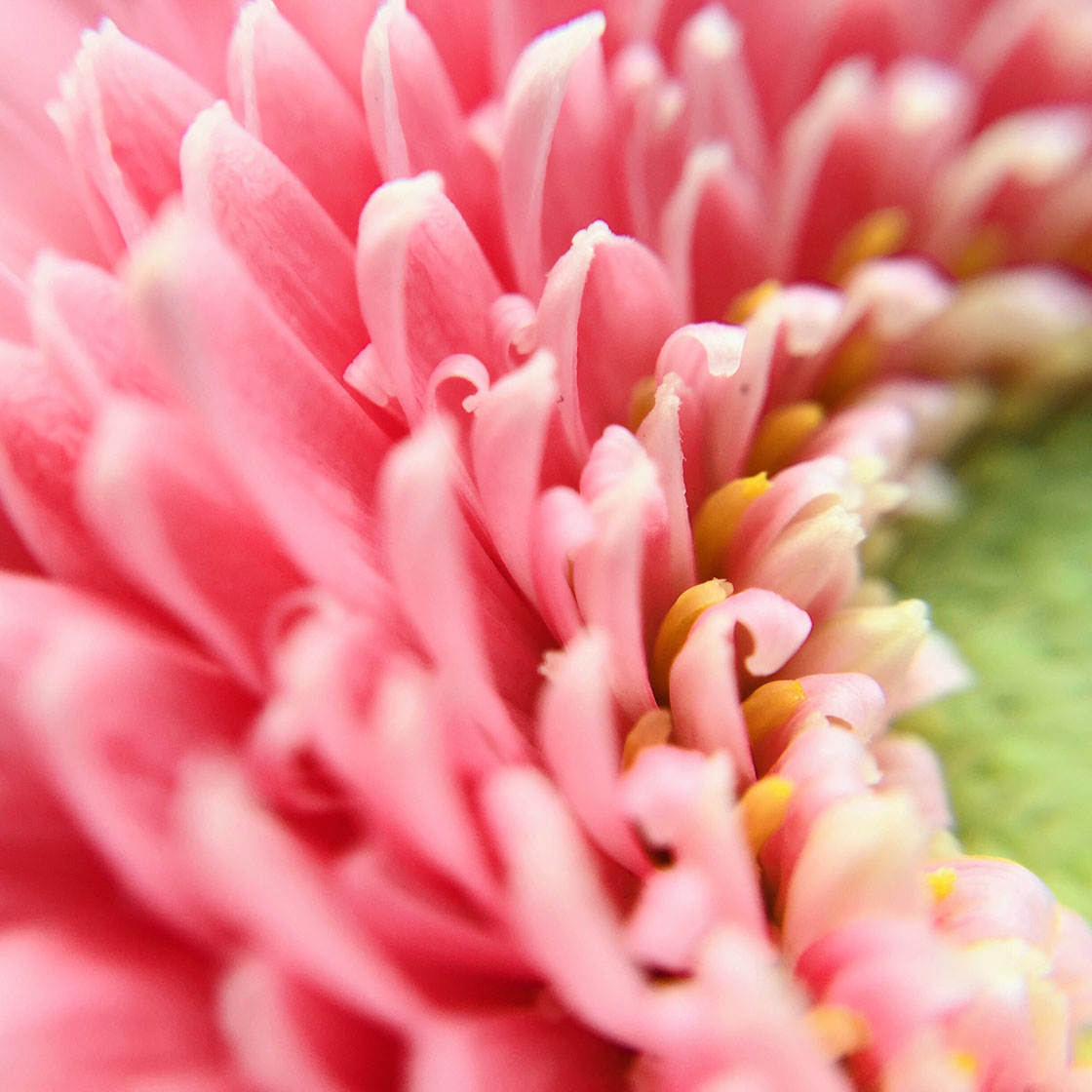 iphone-photography-tips-45