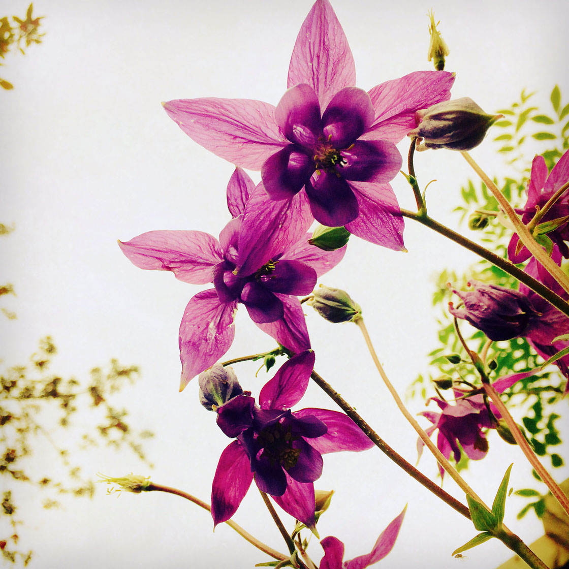 tripod-for-iphone-30