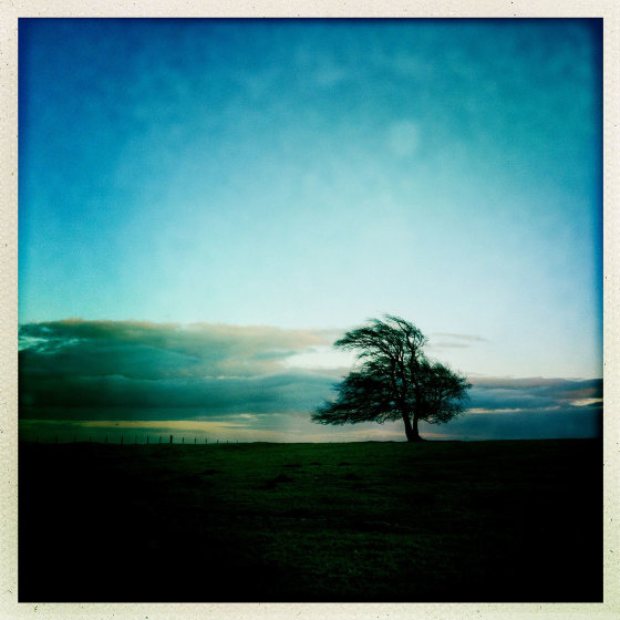 How To Use Hipstamatic App To Shoot Unique iPhone Photos