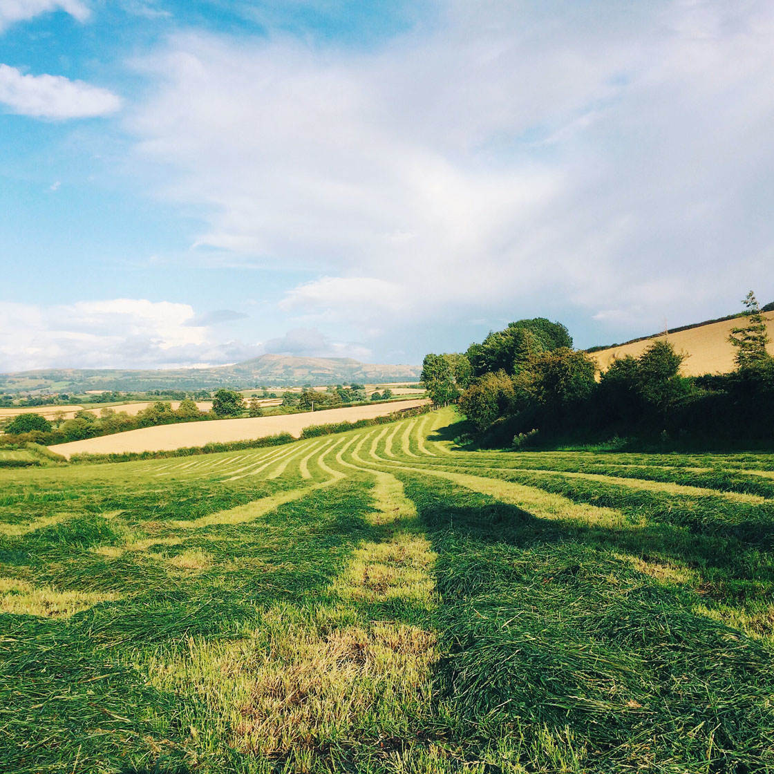 iphone-photography-tips-21