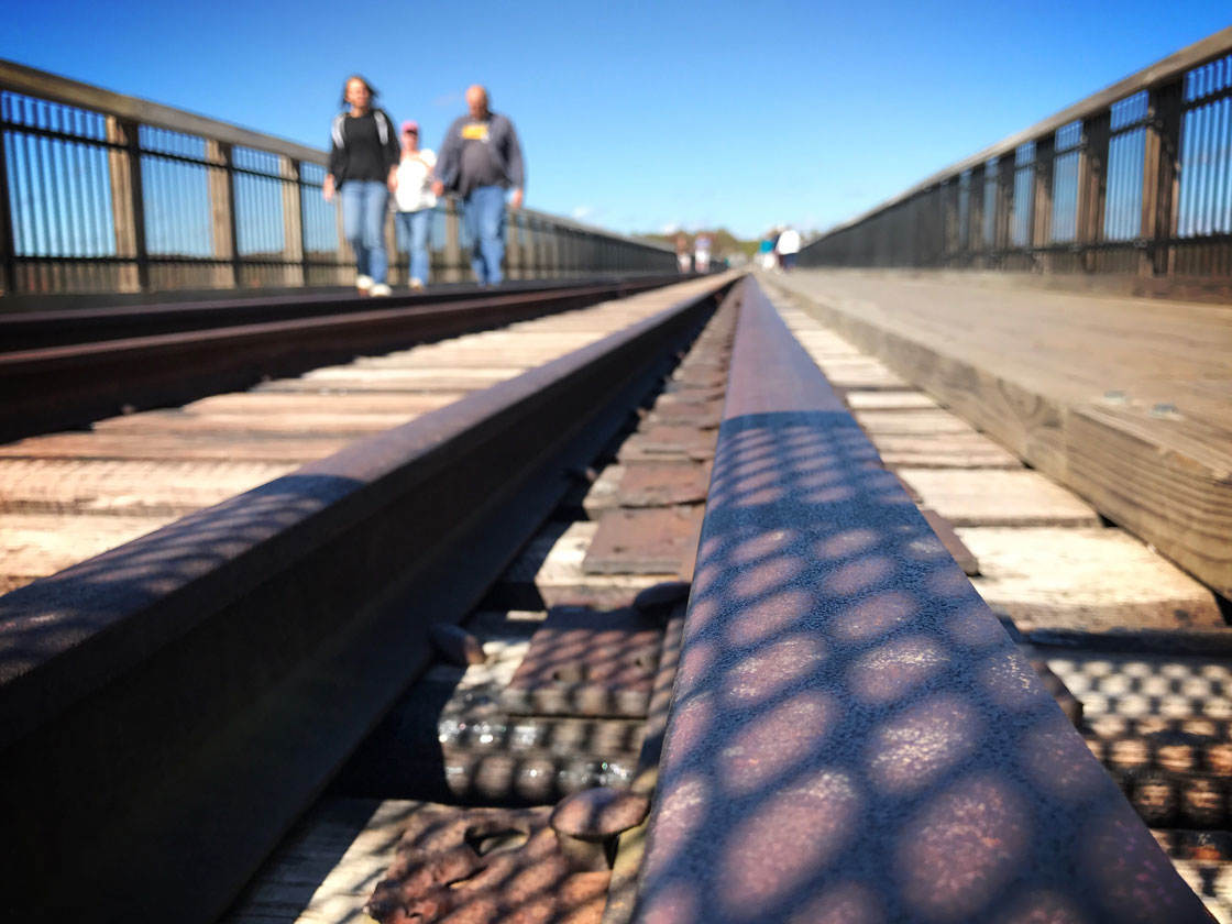 Fotografía en perspectiva de ángulo bajo