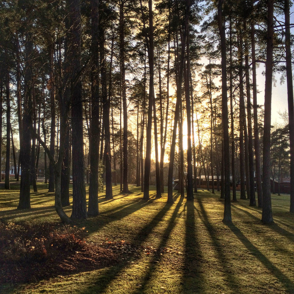 10 iPhone Photography Tips To Quickly Improve Your Photos